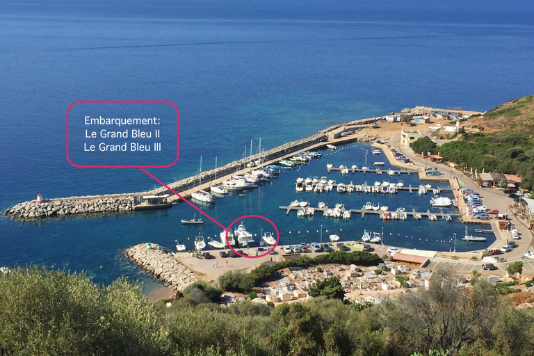 Cargèse : Scandola, Girolata et Piana : tour en bateau l'après-midiCargèse : Scandola, Girolata et Piana : visite en bateau l'après-midi