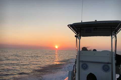 Cargèse: Halvfast båttur till kalankerna i Piana Capo RossoCargèse: Calanques of Piana Capo Rosso Semi-Rigid Boat Tour