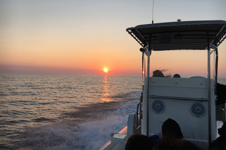 Cargèse: Calanques of Piana Capo Rosso Semi-Rigid Boat Tour