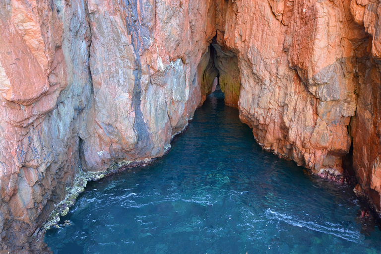 Cargèse: Calanques of Piana Capo Rosso Semi-Rigid Boat Tour