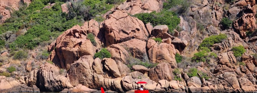 Porto : Découverte de la faune et de la flore marine/Baie de Porto