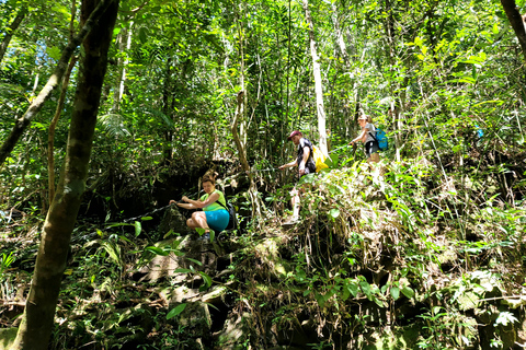 Vandring från Da Nang/Hoi An till Hue via Bach Ma National ParkFrån Da Nang/Hoi An: Vandring och picknick i Bach Ma nationalpark