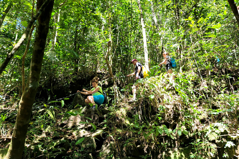 Vandring från Da Nang/Hoi An till Hue via Bach Ma National ParkFrån Da Nang/Hoi An: Vandring och picknick i Bach Ma nationalpark