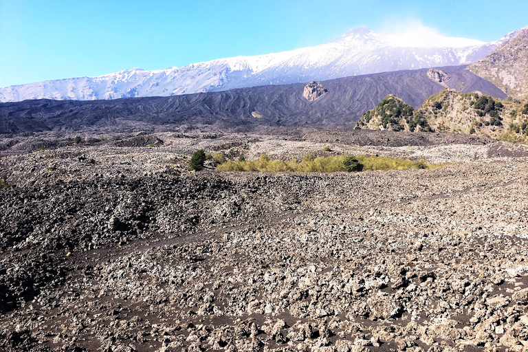 Excursión en Jeep por el Etna