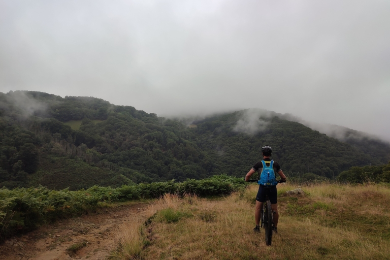 San Sebastián: Excursión en bicicleta de montaña