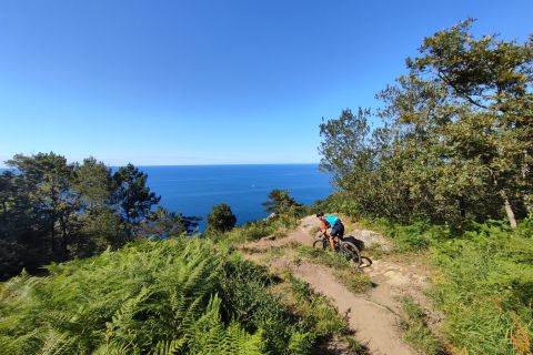 San Sebastian: Mountain Bike Tour with Pintxos and Drink