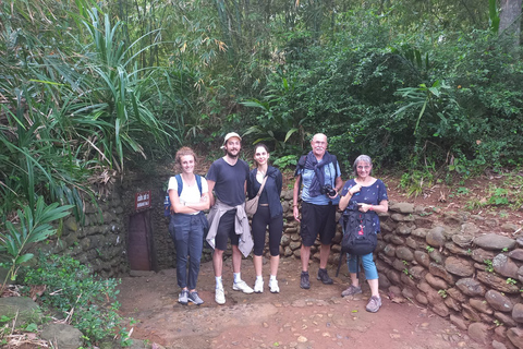 From Hue: Private Half-Day DMZ Tour with Vinh Moc Tunnels