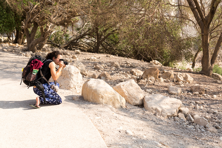 Z Tel Awiwu: Masada o wschodzie słońca, Ein Gedi i wycieczka po Morzu MartwymZ Tel Awiwu: Masada o wschodzie słońca, Ein Gedi i wycieczka nad Morze Martwe