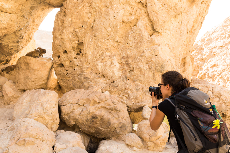 From Tel Aviv: Masada at Sunrise, Ein Gedi and Dead Sea Tour