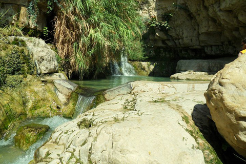 Da Tel Aviv: Masada all&#039;alba, Ein Gedi e Mar Morto