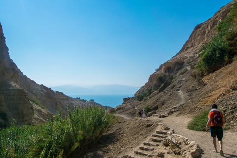 Z Tel Awiwu: Masada o wschodzie słońca, Ein Gedi i wycieczka po Morzu MartwymZ Tel Awiwu: Masada o wschodzie słońca, Ein Gedi i wycieczka nad Morze Martwe