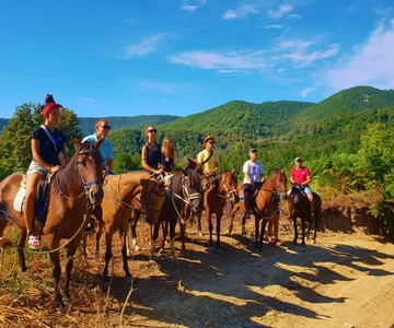 Marmaris: Horse Riding Experience with Hotel Transfers