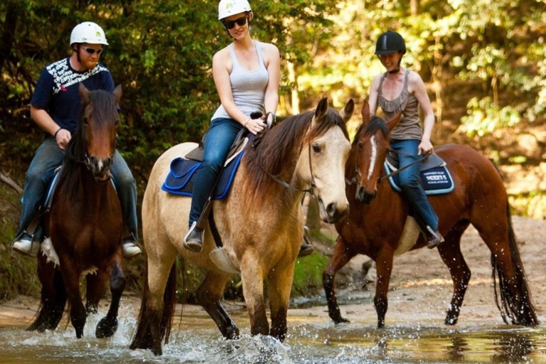 Experiencia a caballo en Marmaris con traslado gratuito al hotel