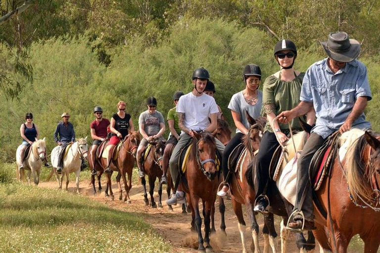 Marmaris: Experiencia a caballo con traslados al hotel