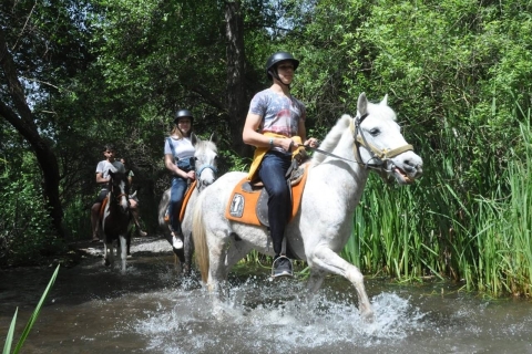 Marmaris-paardrijervaring met gratis hoteltransfer