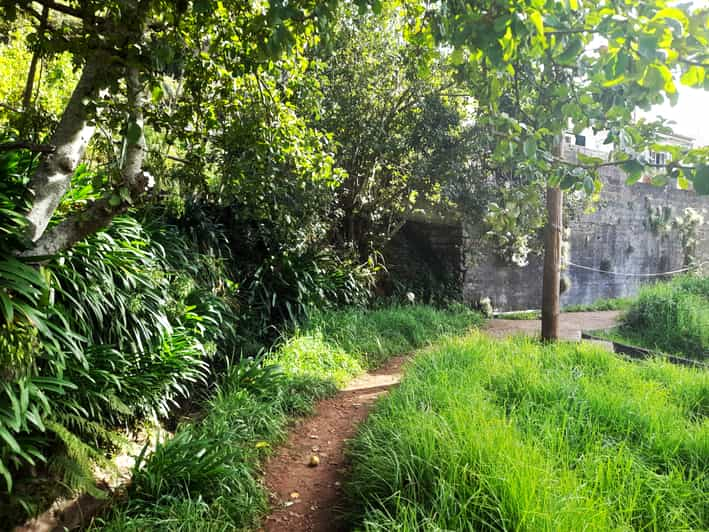 Van Funchal Zonsopgang Bij Pico Do Arieiro Met Ontbijt Getyourguide