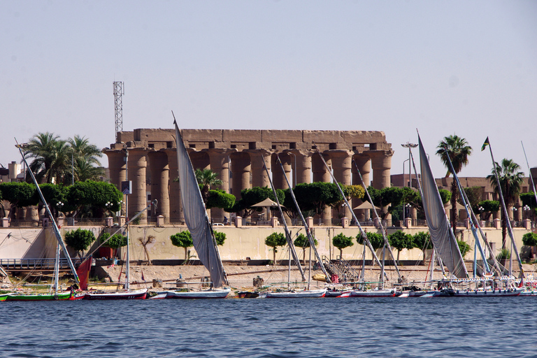 Il Cairo: Tour notturno a Luxor dal Cairo con il treno VIPIl tour include trasferimenti, guida in Ita, pasti e ingressi.