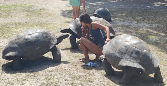 Curieuse Guided Tour, St Pierre, BBQ & 2 Snorkel Stops