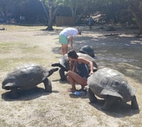 Curieuse, St Pierre, Lafarine, All Inclusive 2 Snorkle Stops - Housity