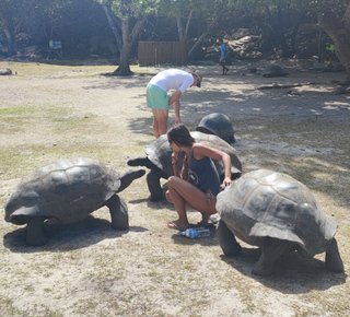 Schnorcheln in Praslin