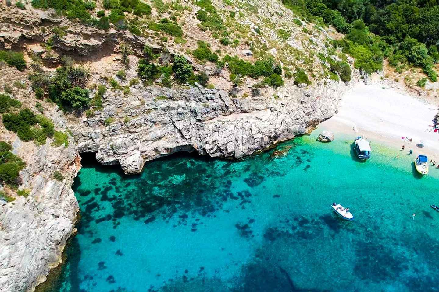 Excursion Rapide en Bateau à la Baie Grama