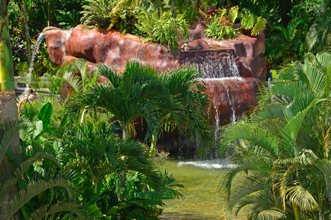 Costa Rica: Baldi Hot Springs Tagespass mit optionalen MahlzeitenBaldi Hot Springs Tagespass mit Abendessen