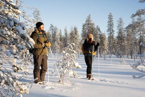 Rovaniemi: Guided Wilderness Ski Trek with Grilled Snack