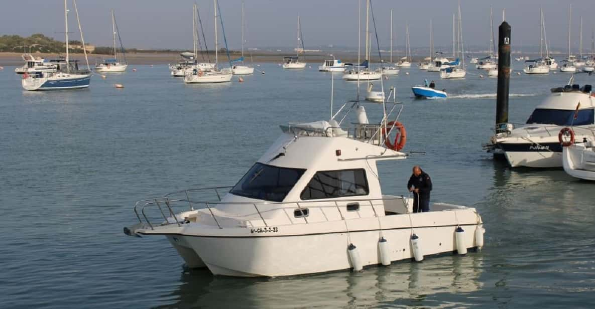 catamaran rental with captain