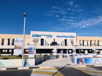 Aswan, Privater Flughafen Ankunft/Abfahrt Einweg-Transfer - Hizvo
