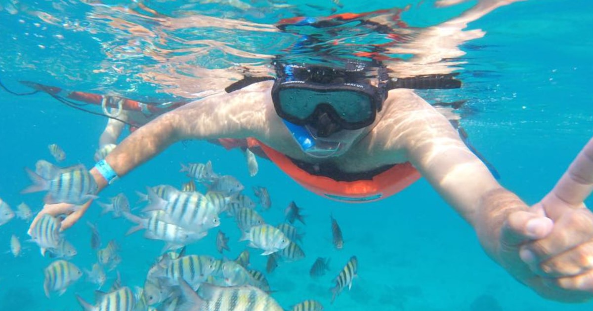 Cozumel Glass Bottom Boat Tour with Drinks. GetYourGuide