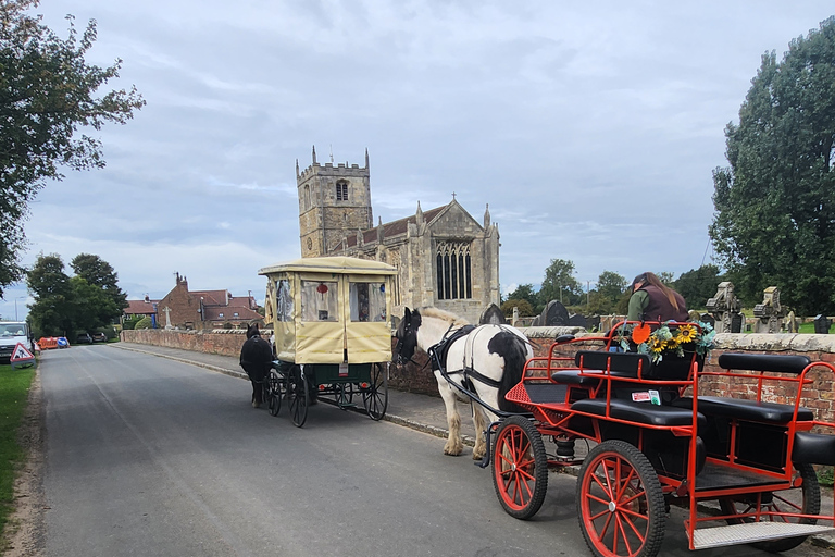 York: giro privato in carrozza trainata da cavalli e tè pomeridiano