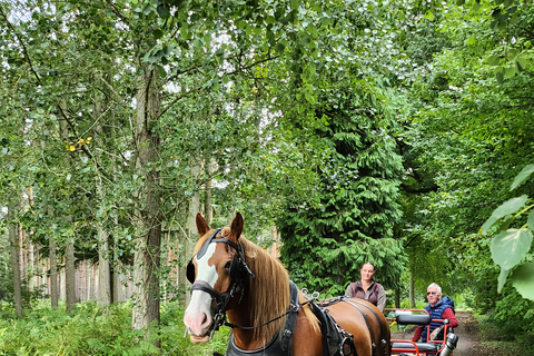 Promenade en calèche et thé à la crème dans l'après-midiCalèche ridel