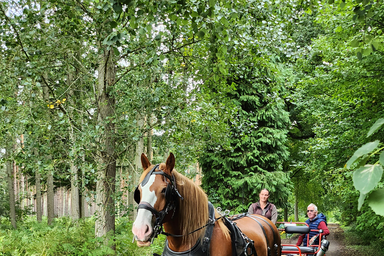 Paseo en coche de caballos y Tarde de té con nataCoche de caballos ridel