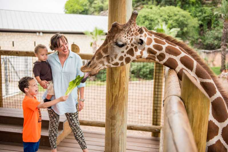 San Antonio: San Antonio Zoo Flexible Any-Day Entry Ticket