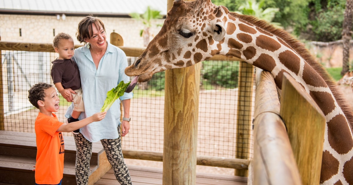 San Antonio San Antonio Zoo Any Day Ticket GetYourGuide