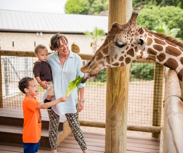 San Antonio Zoo Any Day Ticket (ingresso para qualquer dia)