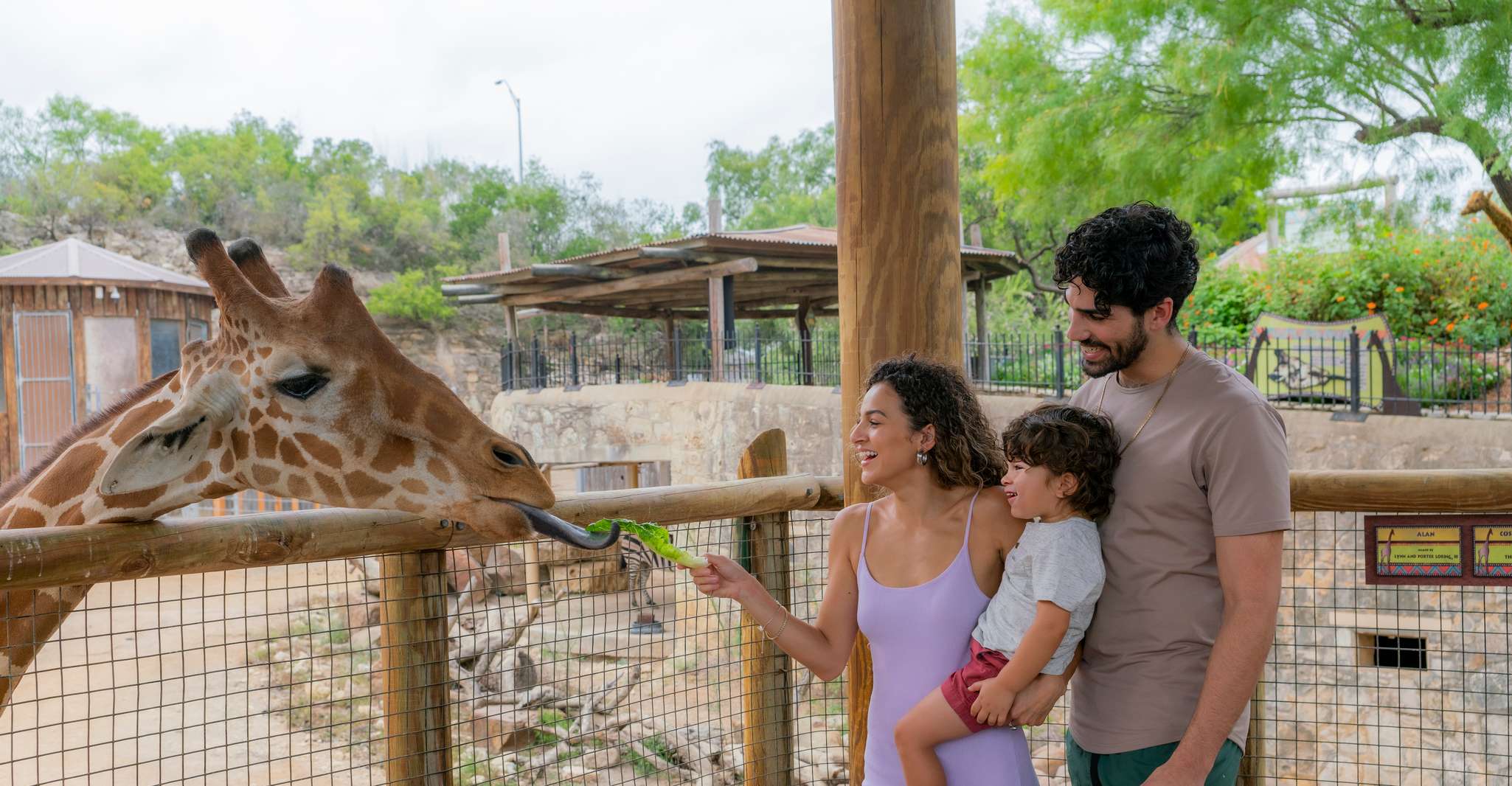 San Antonio Zoo Any Day Ticket photo 7