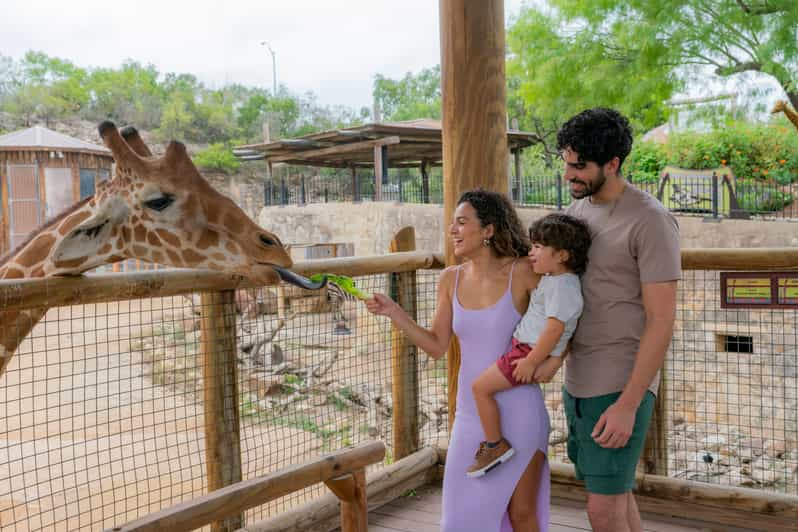 San Antonio San Antonio Zoo Any Day Ticket GetYourGuide   146 