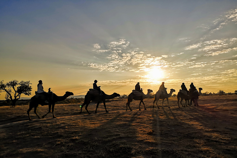 Cappadoce : Safari à dos de chameau au lever du soleil