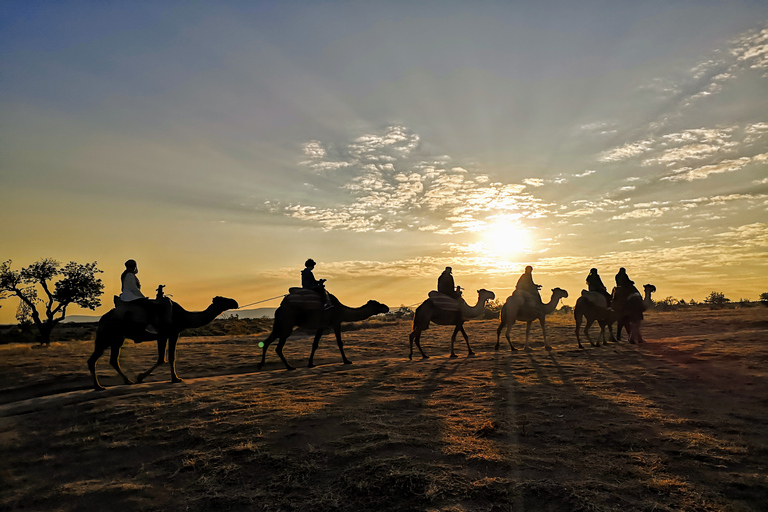 Cappadoce : Safari à dos de chameau au lever du soleil