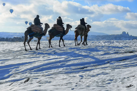 Cappadoce : Safari à dos de chameau au lever du soleil