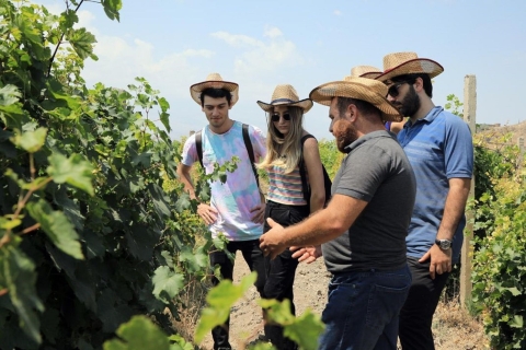 Pivate tour: Khor Virap & Mount Ararat Wine Tasting
