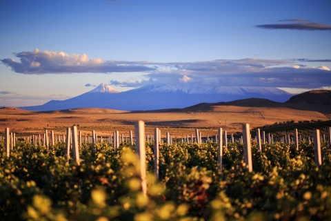 Circuit Pivate : Khor Virap et dégustation de vins du Mont AraratCircuit Pivate : Dégustation de vin à Khor Virap et au Mont Ararat