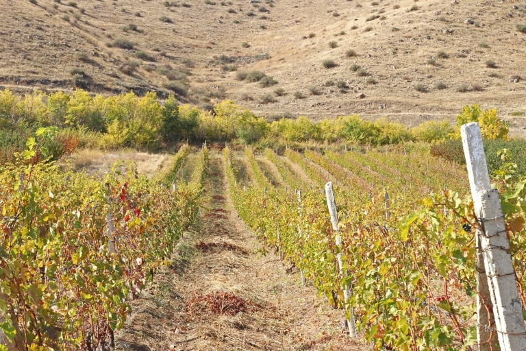 Wycieczka prywatna: Khor Virap i degustacja wina na górze Ararat