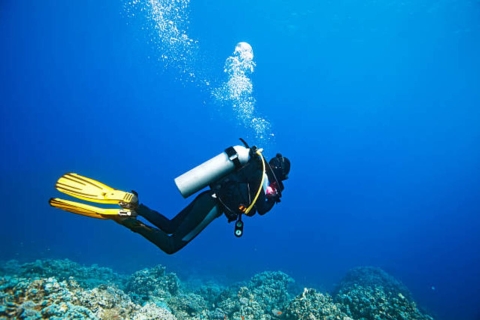 Hurghada : sortie plongée d'une journée avec déjeunerSnorkeling Tour avec 2 sites