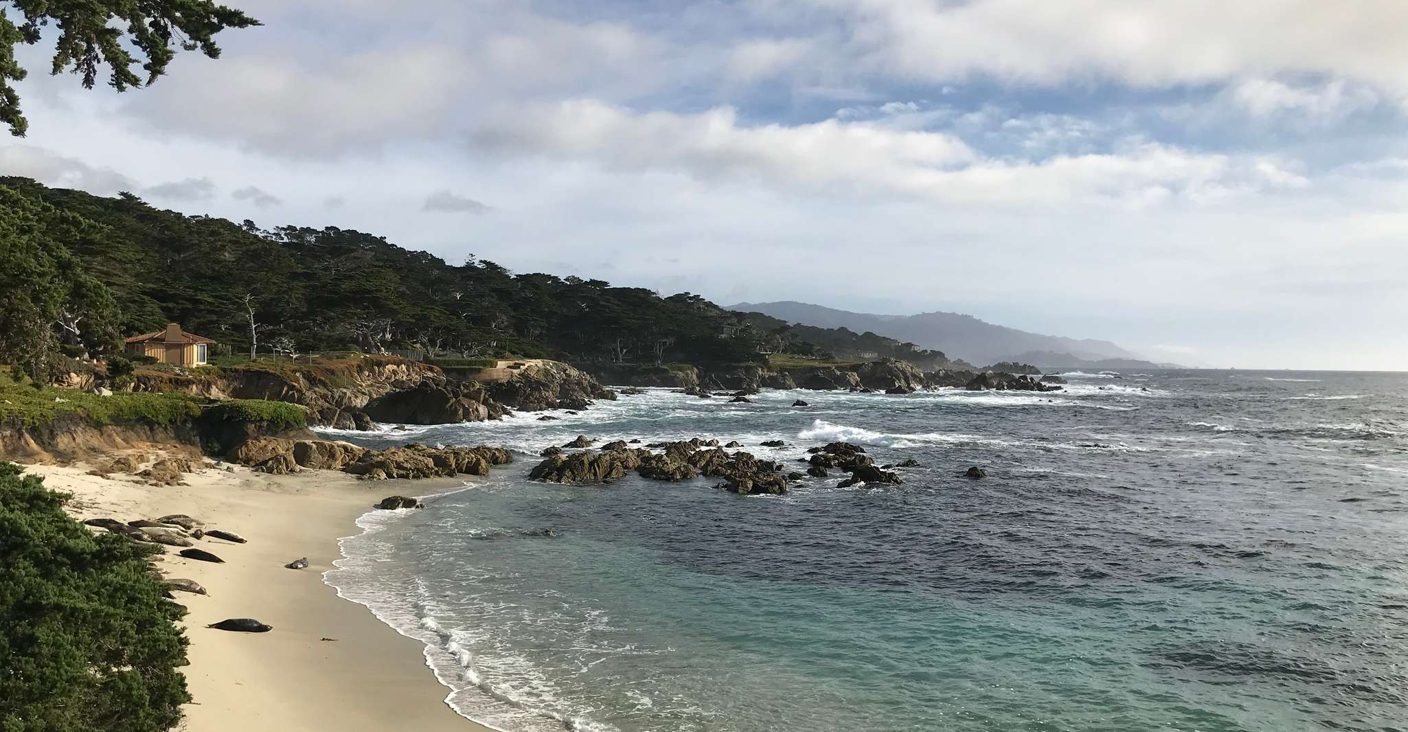 Monterey Peninsula Sightseeing Tour along the 17 Mile Drive - Housity