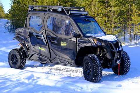 Helsinki: Buggy Ride, Reindeer Farm Visit, and Picnic