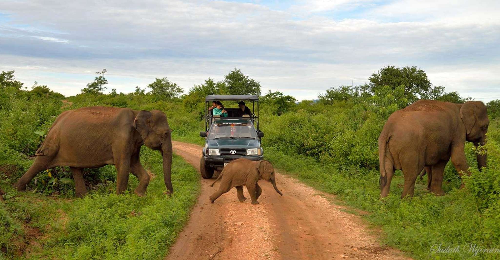 Yala National Park, Private Safari Day Trip with Lunch - Housity