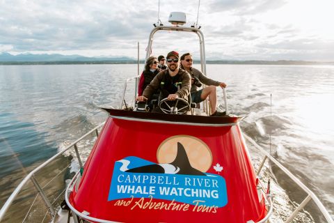 Campbell River: Whale Watching and Wildlife Viewing Day Tour