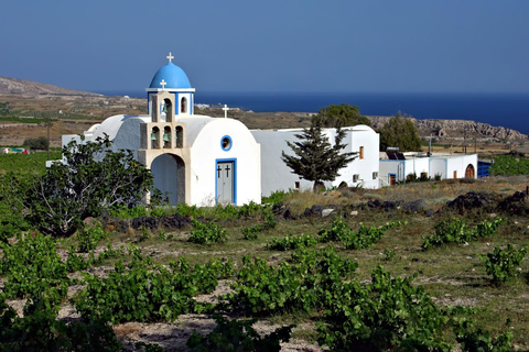 Santorini: Akrotiri-opgraving, Megalochori en stranden-tour